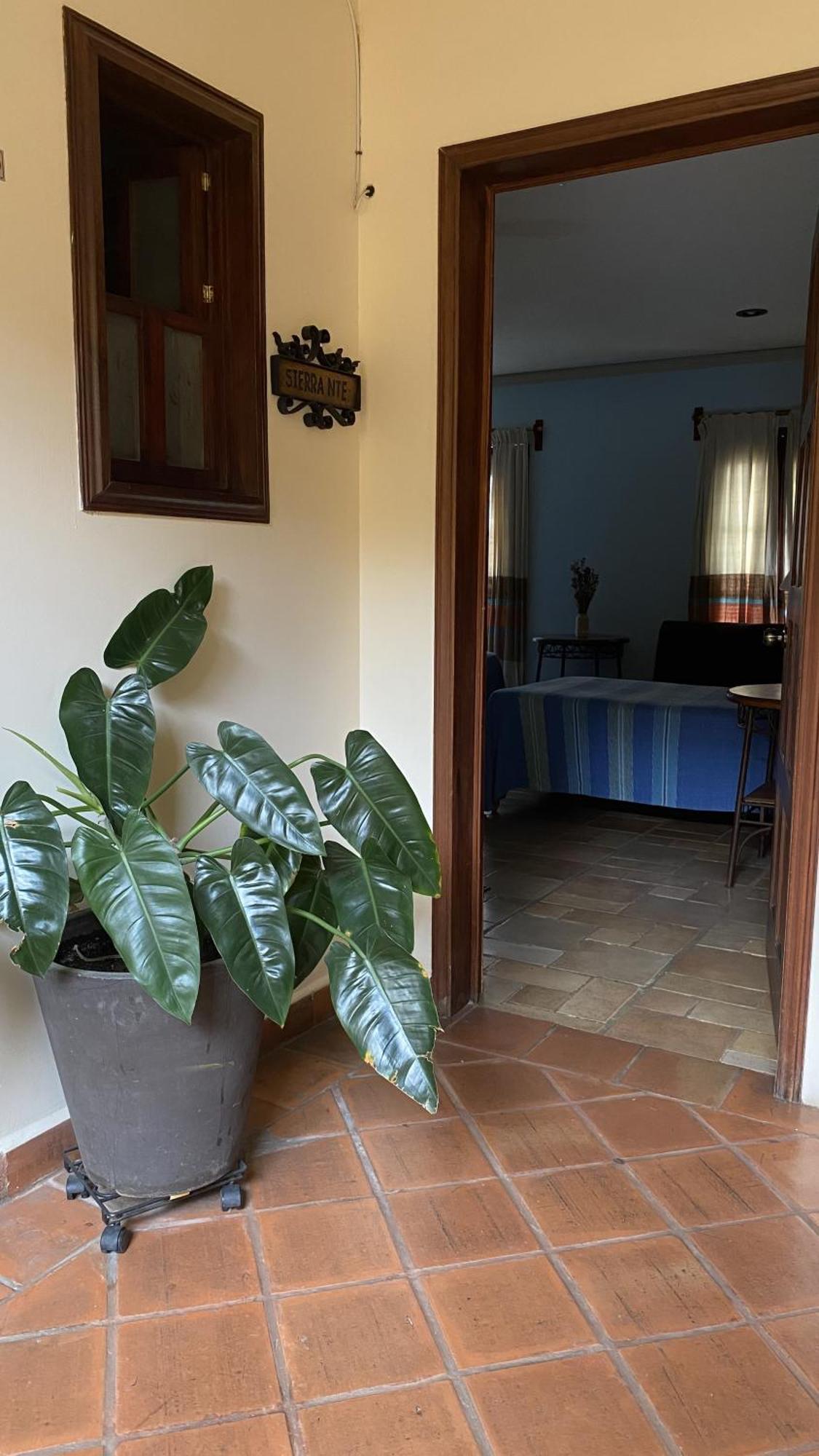 Posada Regional Oaxaca Екстериор снимка